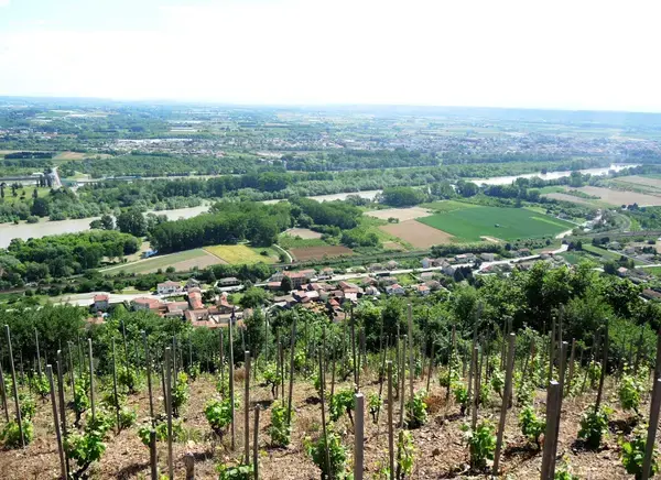Monte Escalier 07 Monte escalier Peyraud